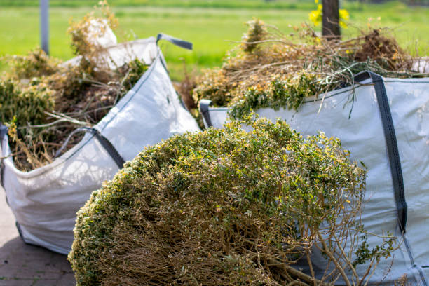 Best Household Junk Removal  in Ridgeland, SC